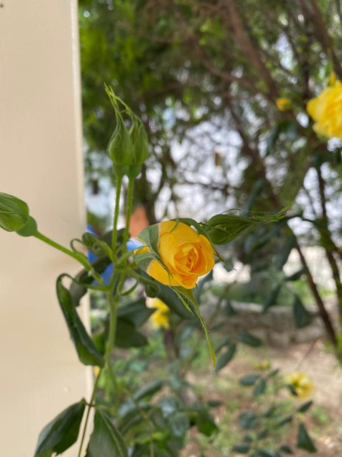 Villa Valmas Katsaros  Екстериор снимка